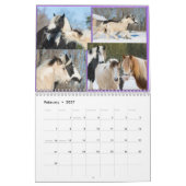 2017 Fellinlove with Horses Calendar Kalender (Feb 2027)