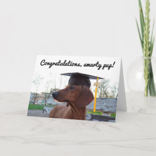 2017 Graduation Cap & Charm Dog Dachshund Smarty Kaart
