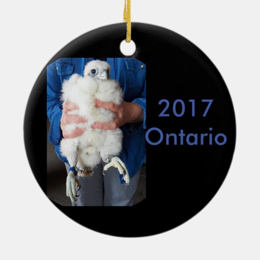 2017 Keramisch Ornament Ontario (Achterkant)