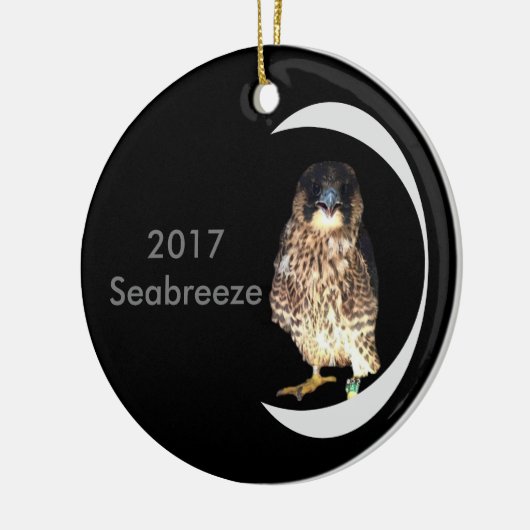 2017 Keramisch Ornament Seabreeze (Links)