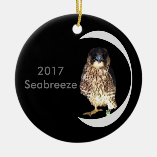 2017 Keramische Versiering Seabreeze Keramisch Ornament (Voorkant)