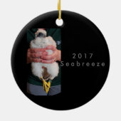 2017 Keramische Versiering Seabreeze Keramisch Ornament (Achterkant)