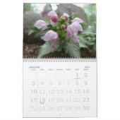 2017 Kunstkalender Kalender (Jan 2027)