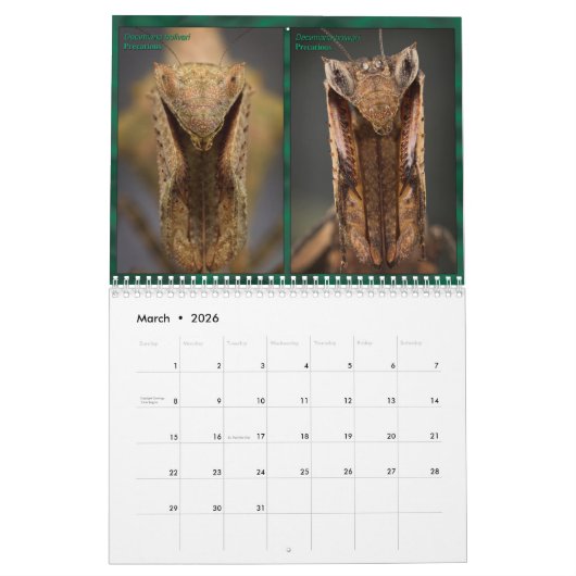 2017 Middelgrote/grote MANTIDFORUM-kalender Kalender (Mar 2026)