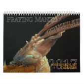 2017 Middelgrote/grote MANTIDFORUM-kalender Kalender (Hoes)