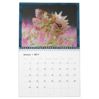 2017 Middelgrote/grote MANTIDFORUM-kalender Kalender