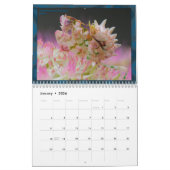 2017 Middelgrote/grote MANTIDFORUM-kalender Kalender (Jan 2026)