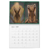 2017 Middelgrote/grote MANTIDFORUM-kalender Kalender (Mar 2027)
