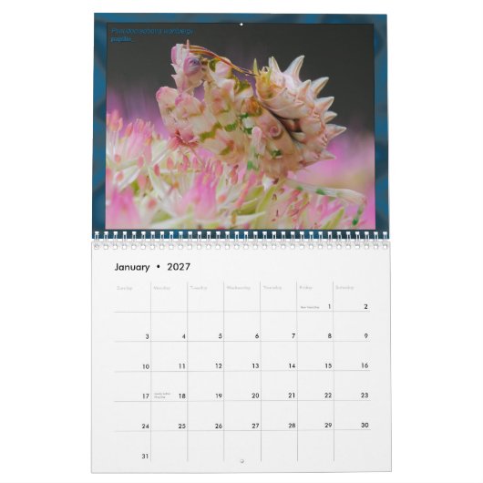 2017 Middelgrote/grote MANTIDFORUM-kalender Kalender (Jan 2027)