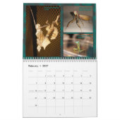 2017 Middelgrote/grote MANTIDFORUM-kalender Kalender (Feb 2027)
