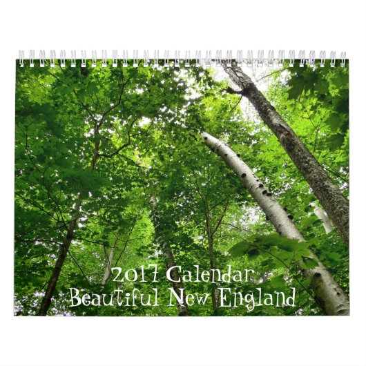 2017 Mooie New England Agenda Kalender (Hoes)