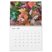 2017 New England Herfst- en Winterkalender Kalender (Mar 2027)
