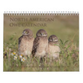 2017 Noord-Amerikaanse muur kalender (Hoes)