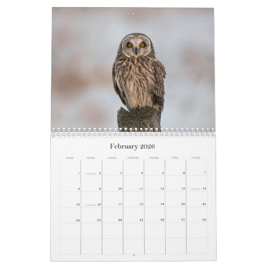 2017 Noord-Amerikaanse muur kalender (Feb 2026)