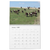 2017 Pinzgauer: jaar van kalenderverandering zoals Kalender (Jan 2027)