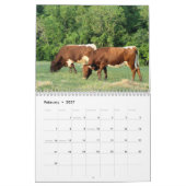 2017 Pinzgauer: jaar van kalenderverandering zoals Kalender (Feb 2027)