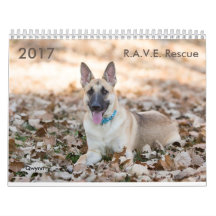 2017 R.A.V.E. Reddingskalender