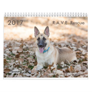 2017 R.A.V.E. Reddingskalender Kalender