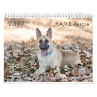 2017 R.A.V.E. Reddingskalender Kalender