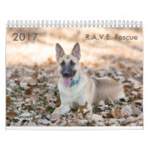 2017 R.A.V.E. Reddingskalender Kalender (Hoes)
