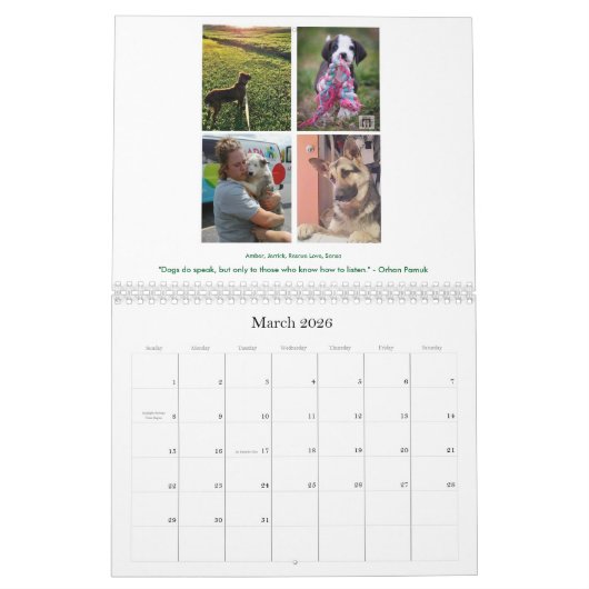 2017 R.A.V.E. Reddingskalender Kalender (Mar 2026)