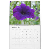 2017 Regenboog van Kleuren Kalender (Feb 2027)