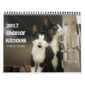 2017 Shelter Kittens Kalender (Hoes)