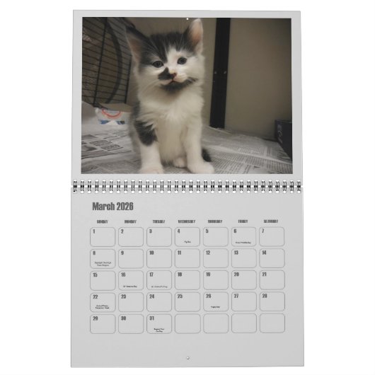2017 Shelter Kittens Kalender (Mar 2026)