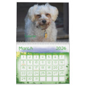 2017 Wags Wiggle & Wof Doggy-agenda Kalender (Mar 2026)