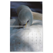 2018 Afbeeldingen op volledige pagina Kalender (Mar 2027)
