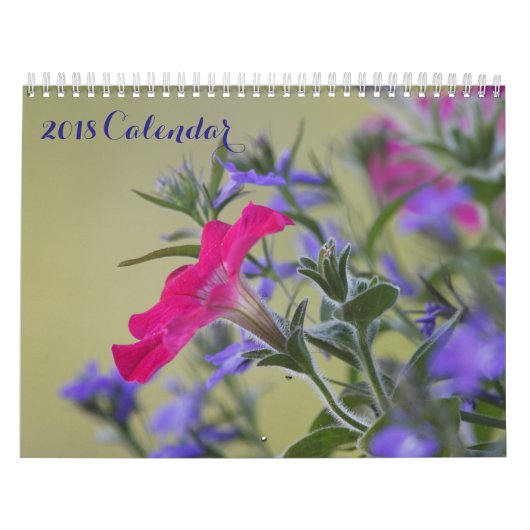 2018 Afbeeldingen op volledige pagina Kalender (Hoes)