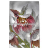 2018 Afbeeldingen op volledige pagina Kalender (Feb 2026)