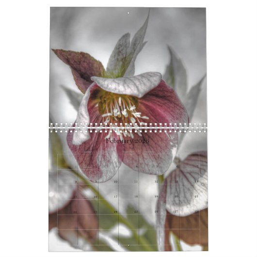 2018 Afbeeldingen op volledige pagina Kalender (Feb 2026)