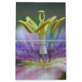 2018 Afbeeldingen op volledige pagina Kalender (Jan 2026)