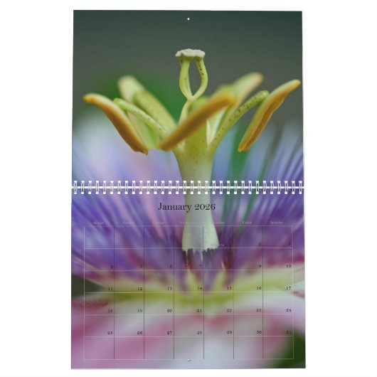 2018 Afbeeldingen op volledige pagina Kalender (Jan 2026)