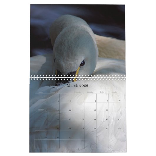 2018 Afbeeldingen op volledige pagina Kalender (Mar 2026)