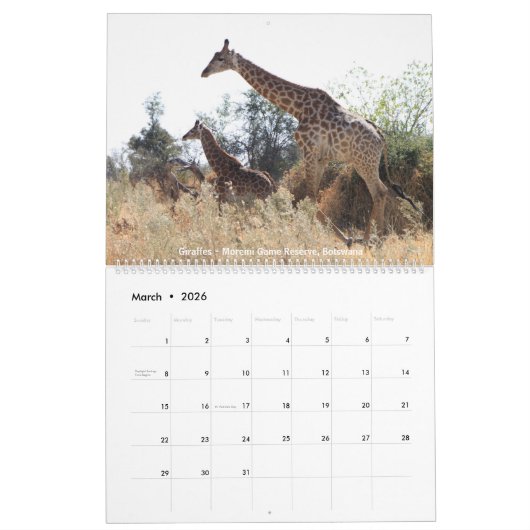 2018 Agenda voor foto's in het wild Kalender (Mar 2026)