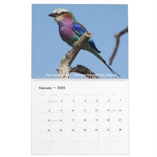 2018 Agenda voor foto's in het wild Kalender (Feb 2026)