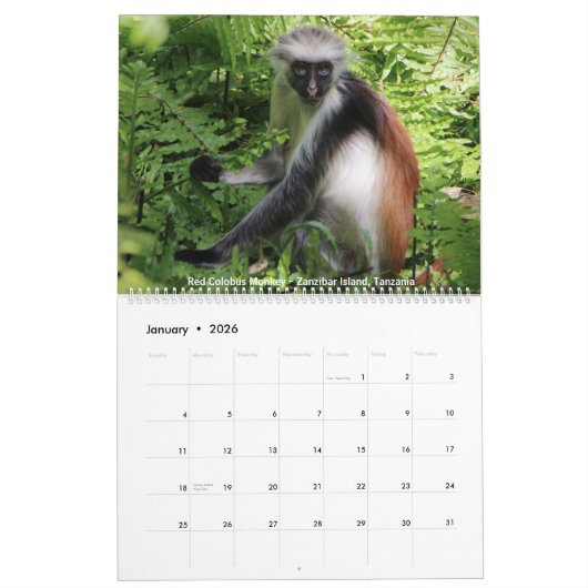 2018 Agenda voor foto's in het wild Kalender (Jan 2026)