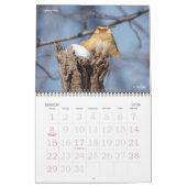 2018 Agenda voor vogelfotografie Kalender (Mar 2026)