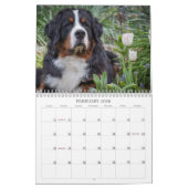 2018 Bernese Mountain Dog Calendar Kalender (Feb 2026)