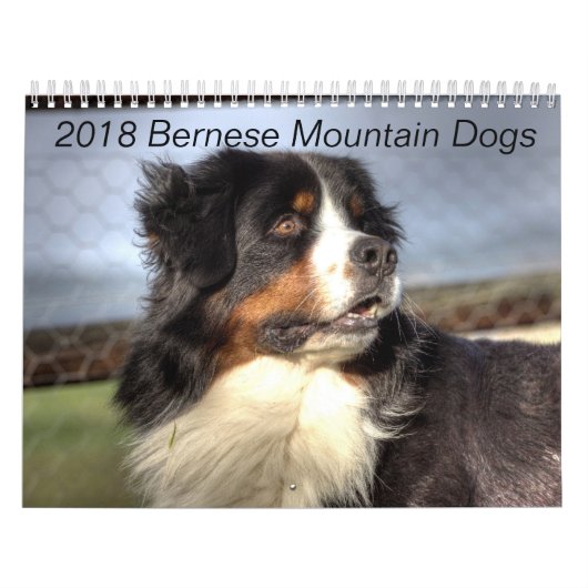 2018 Bernese Mountain Dog Calendar Kalender (Hoes)