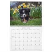 2018 Bernese Mountain Dog Calendar Kalender (Mar 2026)