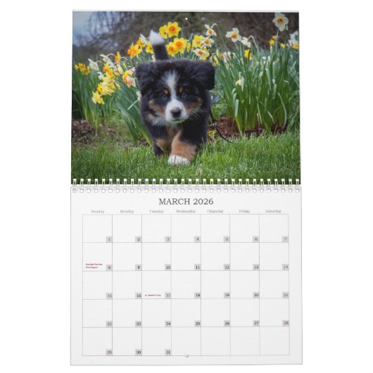 2018 Bernese Mountain Dog Calendar Kalender (Mar 2026)
