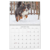 2018 Bernese Mountain Dog Calendar Kalender (Jan 2026)