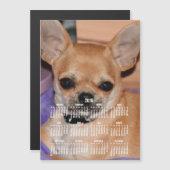 2018 Calendar Chihuahua Magnetic Photo Card 5x7 (Voorkant / Achterkant)