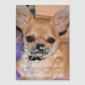 2018 Calendar Chihuahua Magnetic Photo Card 5x7 (Voorkant)