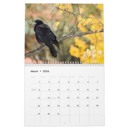 2018 Crow Raven Calendar Kalender (Mar 2026)