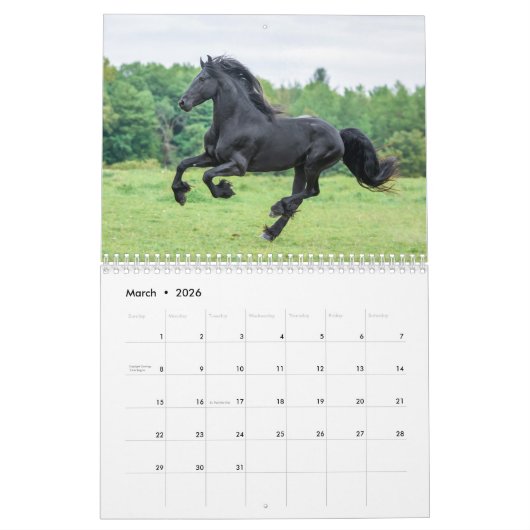 2018 Friesian Mare, Foal and Stallion Calendar Kalender (Mar 2026)