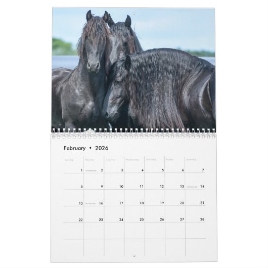2018 Friesian Mare, Foal and Stallion Calendar Kalender (Feb 2026)
